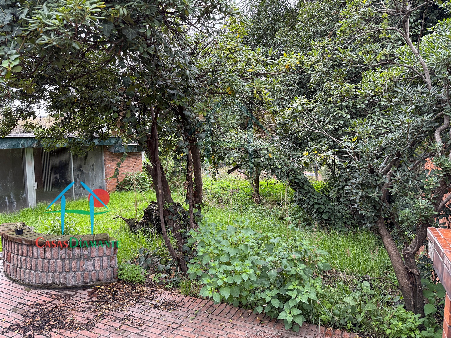 Bosques de las Lomas Terreno Jaguar BBC - Propiedad a demoler 29